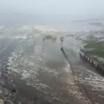 Terremoto de magnitude 8,8 atinge o extremo oriente da Rússia e gera alertas de tsunami em diversos países do Pacífico