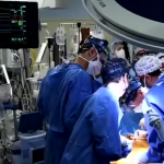 Vaticano autoriza transplantes de órgãos de animais para católicos