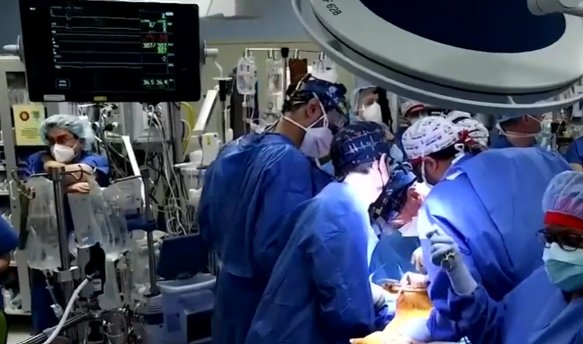 Vaticano autoriza transplantes de órgãos de animais para católicos