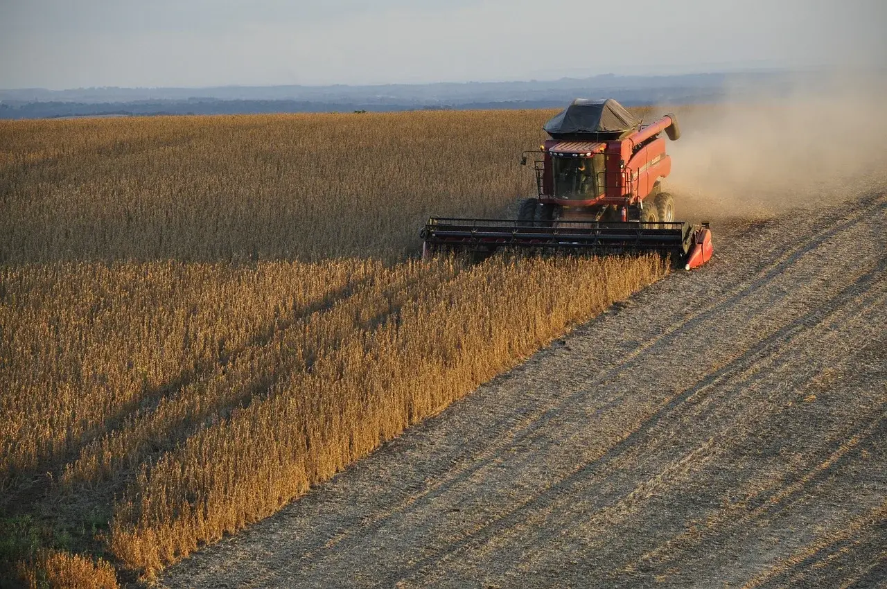 Soja americana perde espaço para o Brasil e produtores pedem socorro a Trump